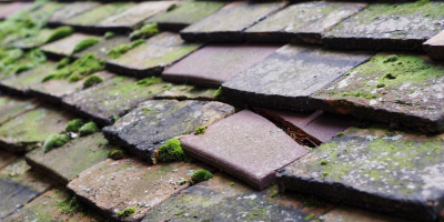 Westbury On Trym roof repair costs